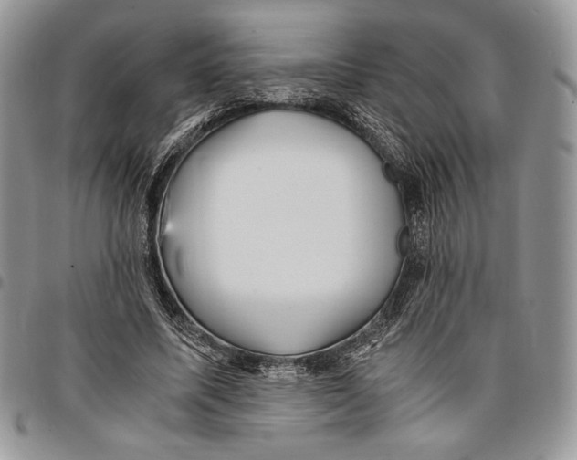 X0000096380587200802141433