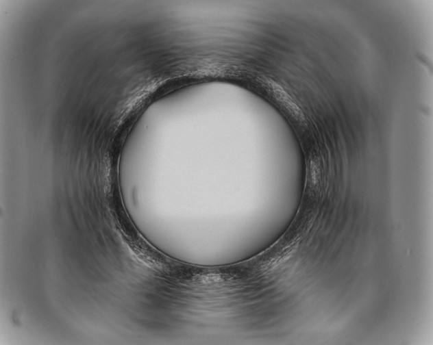 X0000096380588200802141433