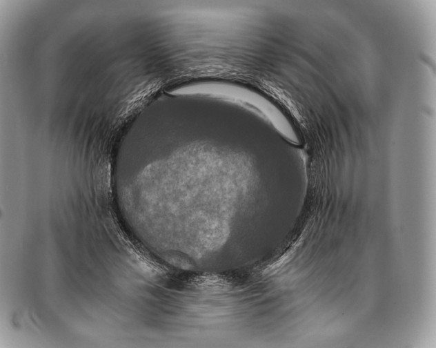 X0000096380589200802141433