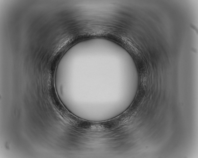 X0000096380591200802141433