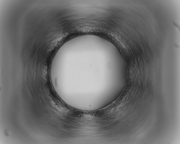 X0000096380592200802141433