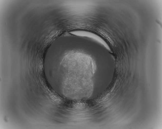 X0000096380593200802141433