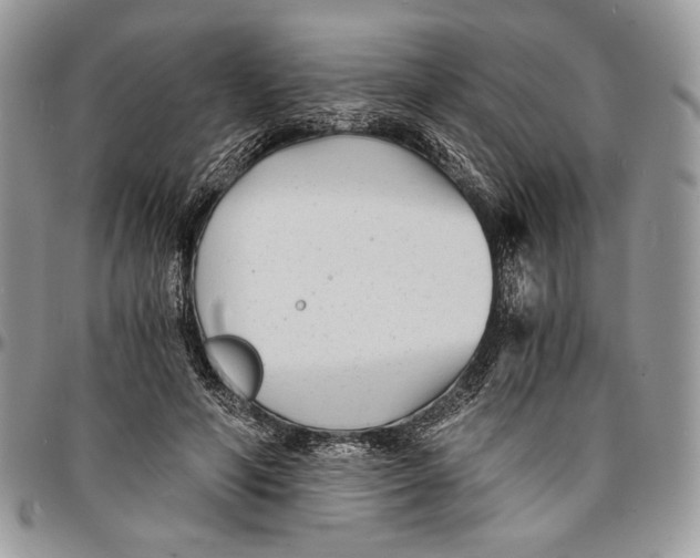 X0000096380594200802141433