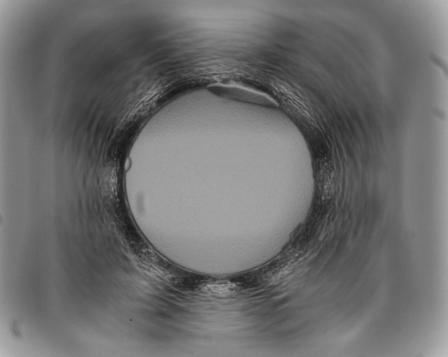 X0000096380595200802141433