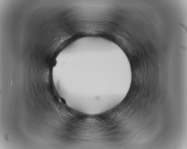 X0000096380596200802141433