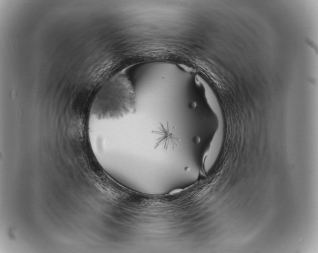 X0000096380597200802141433