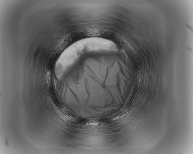 X0000096380598200802141433