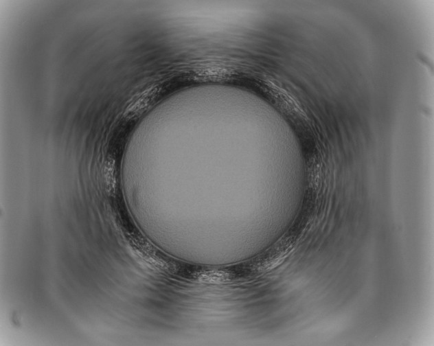 X0000096380599200802141433