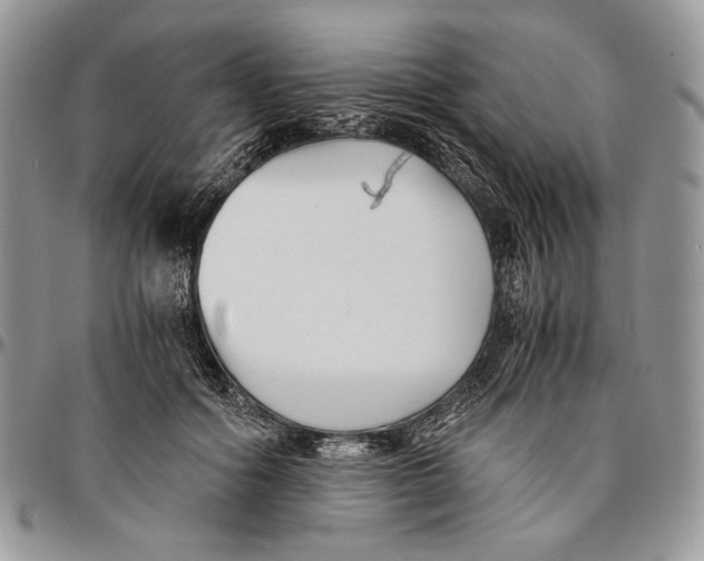 X0000096380602200802141433