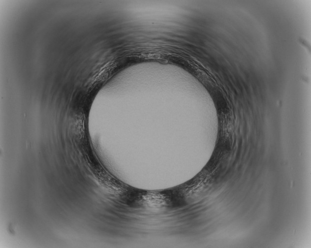 X0000096380603200802141433