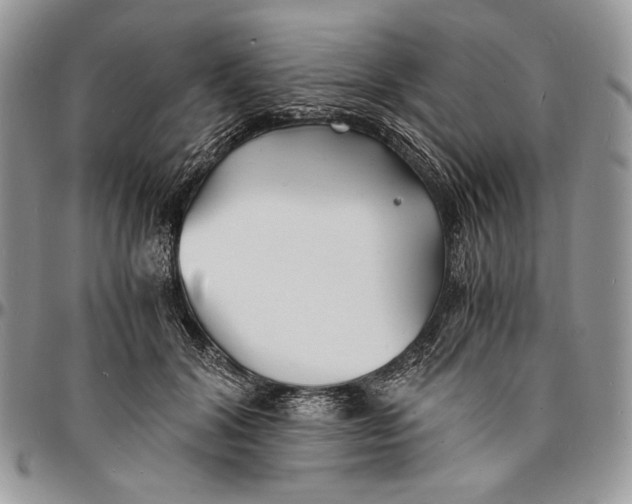 X0000096380604200802141432