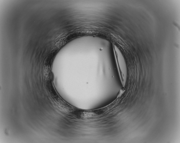 X0000096380605200802141432