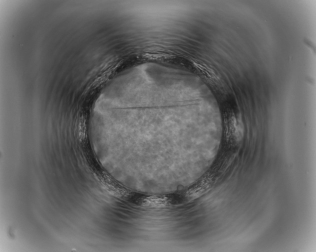 X0000096380606200802141432