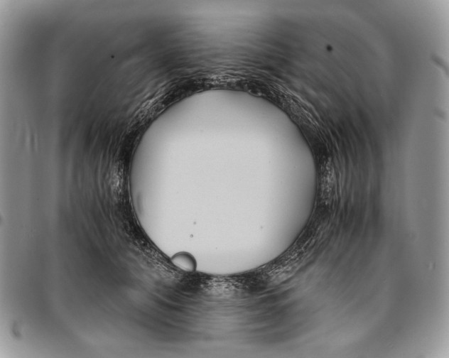 X0000096380608200802141432