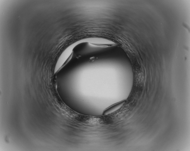 X0000096380609200802141432