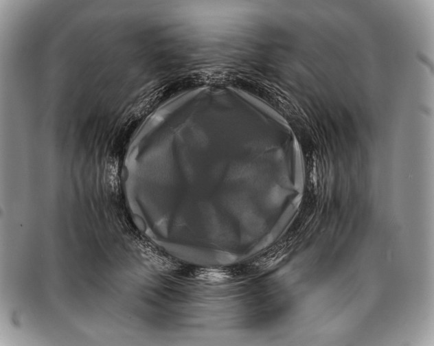 X0000096380610200802141432