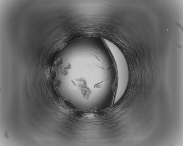 X0000096380611200802141432