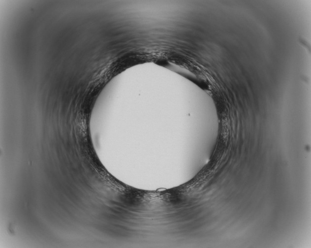 X0000096380613200802141432