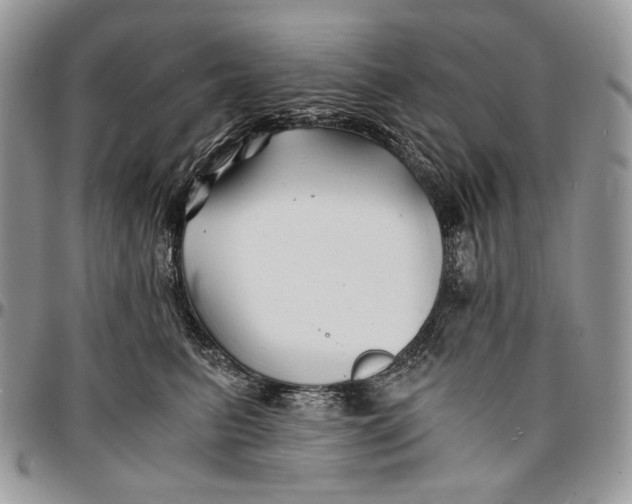 X0000096380615200802141432