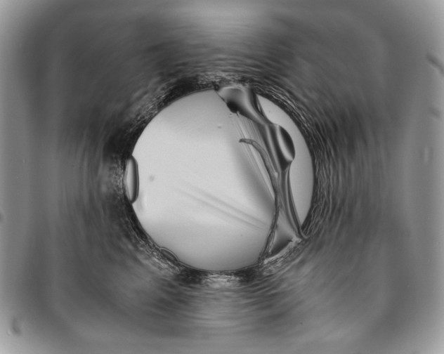 X0000096380617200802141432