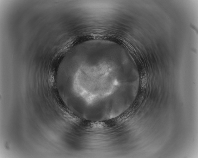 X0000096380618200802141432