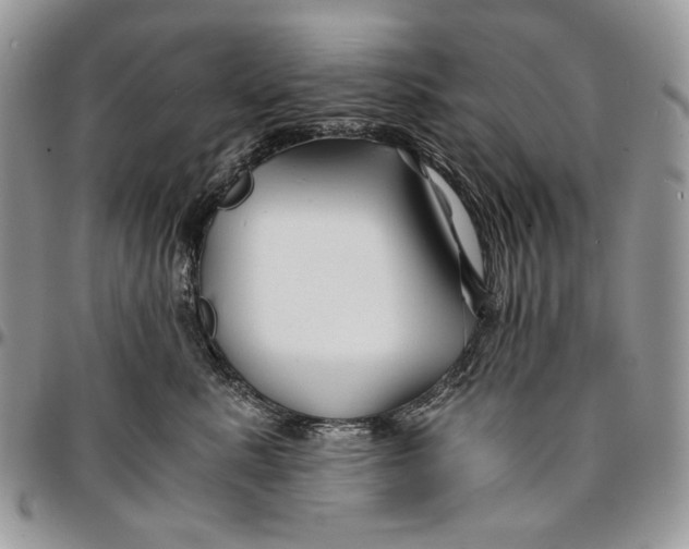 X0000096380619200802141432