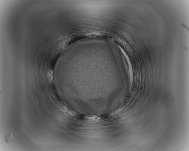 X0000096380621200802141432