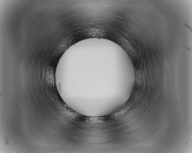 X0000096380622200802141432