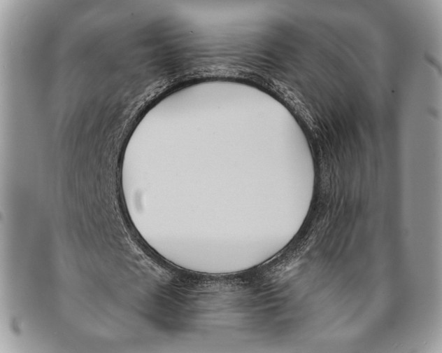 X0000096380625200802141432