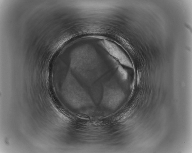 X0000096380627200802141432