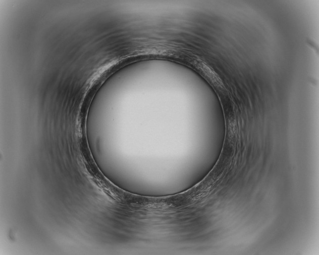 X0000096380628200802141432