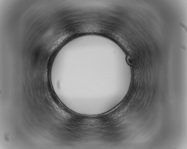 X0000096380629200802141432