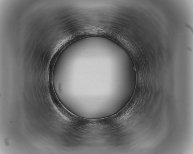 X0000096380630200802141432