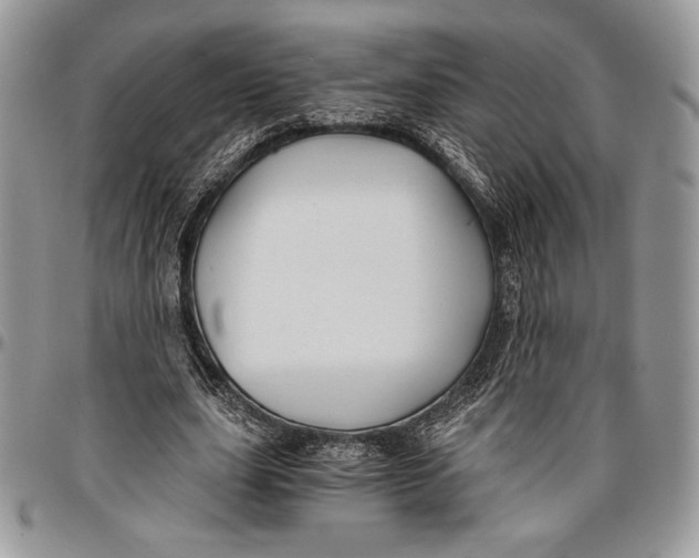 X0000096380631200802141432