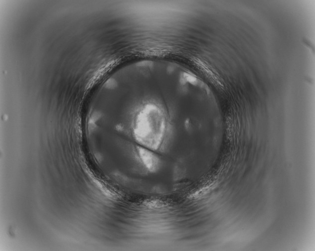 X0000096380634200802141432