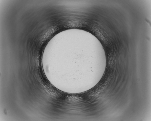 X0000096380635200802141432