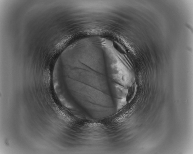 X0000096380637200802141432