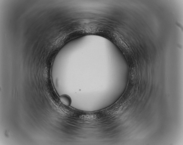 X0000096380639200802141432