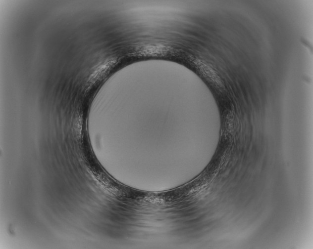 X0000096380640200802141432