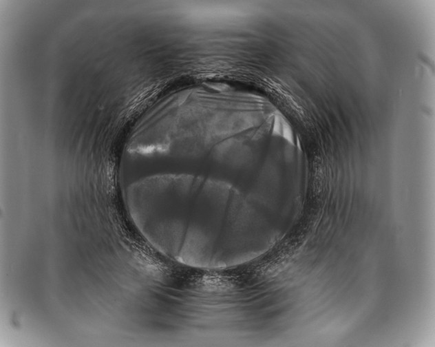 X0000096380641200802141432