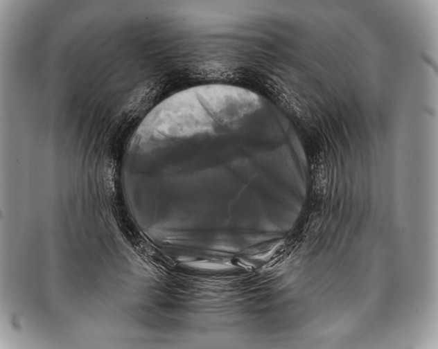 X0000096380643200802141432