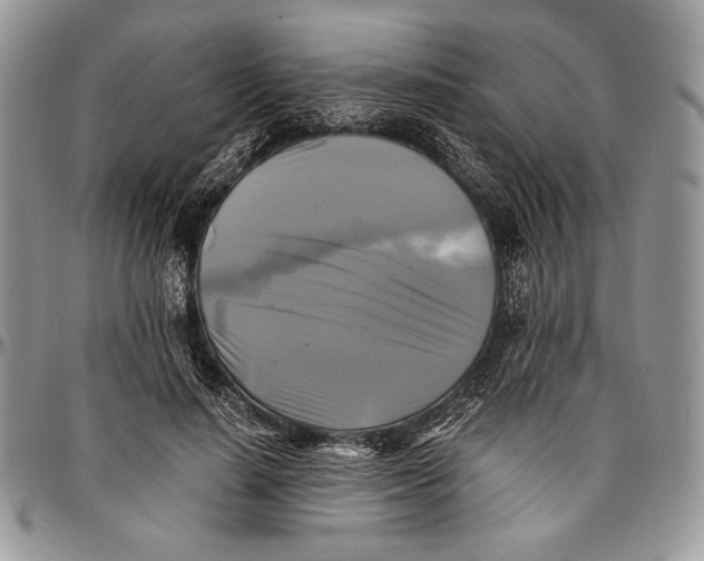 X0000096380644200802141432