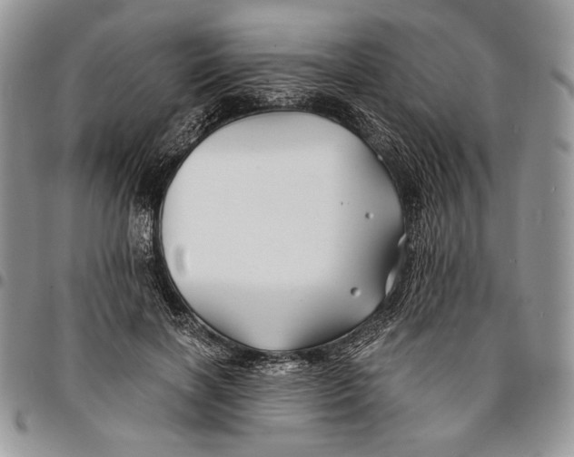 X0000096380646200802141432