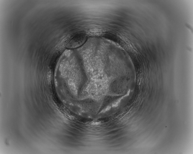 X0000096380647200802141432