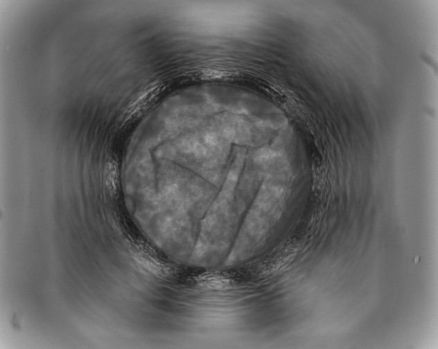 X0000096380648200802141432