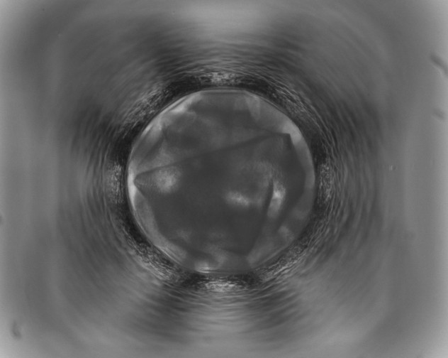 X0000096380650200802141432