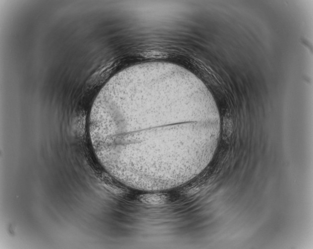 X0000096380652200802141432