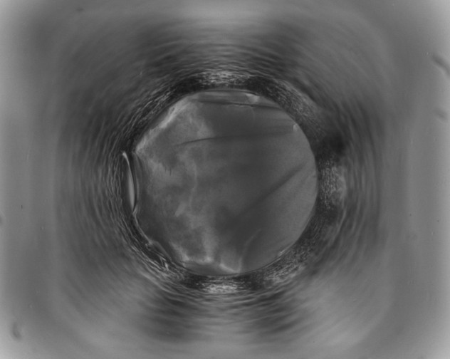 X0000096380653200802141432