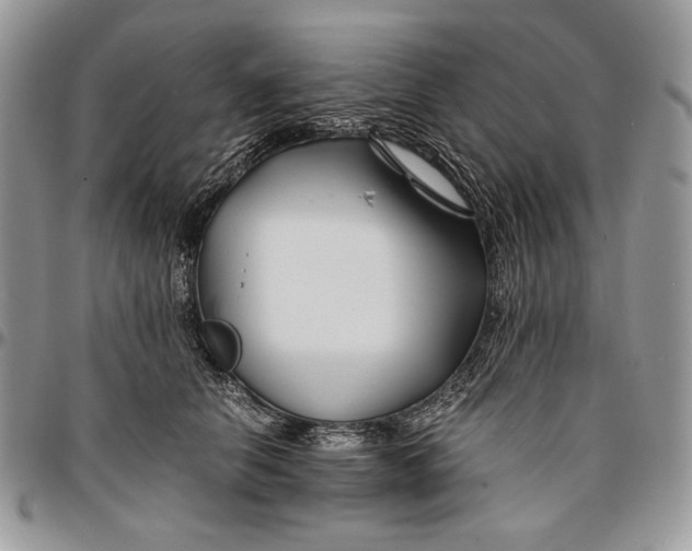 X0000096380658200802141432