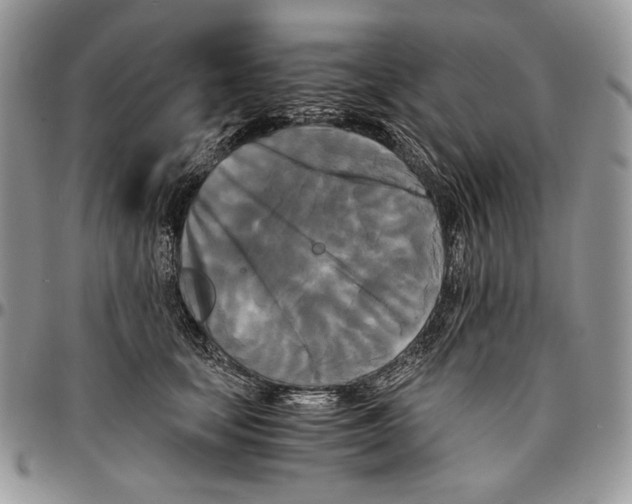 X0000096380659200802141432